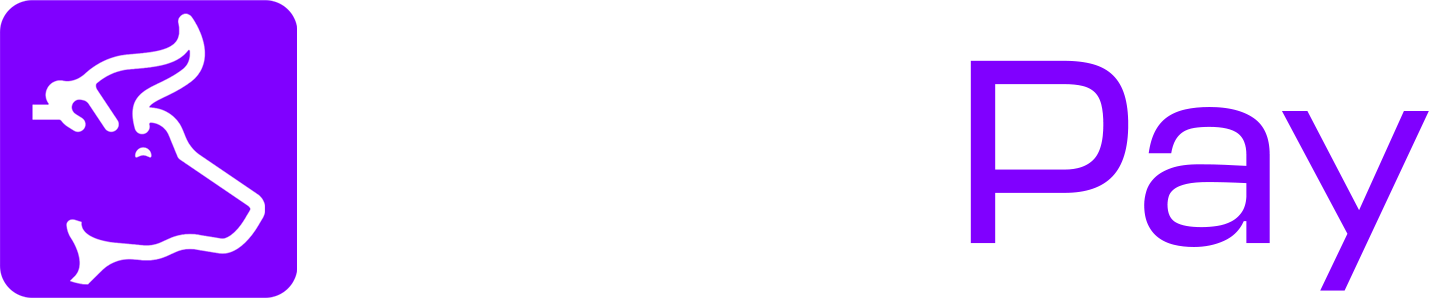 BullsPay Logo